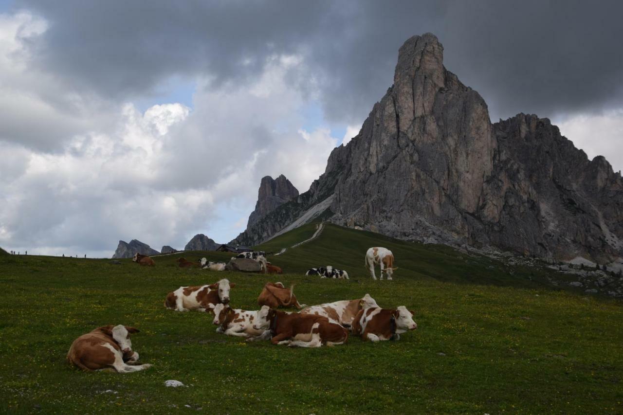 Cesa Fossal Lägenhet Colle Santa Lucia Exteriör bild